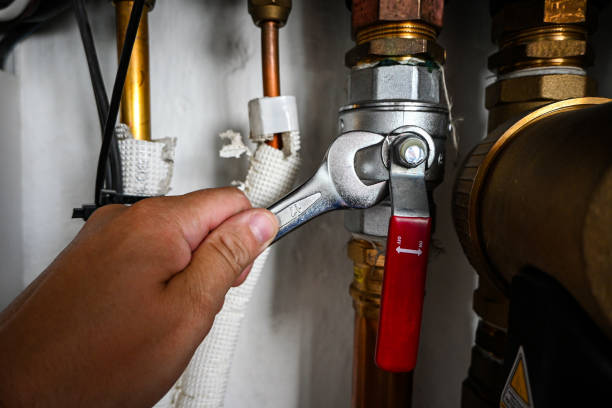Best Local Plumber Services  in Kosciusko, MS